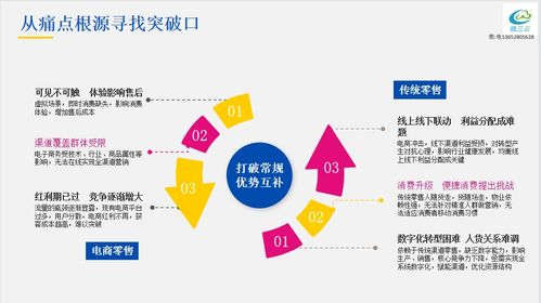 社交電商新零售 互聯(lián)網(wǎng)時(shí)代中國零售業(yè)的轉(zhuǎn)型與創(chuàng)新